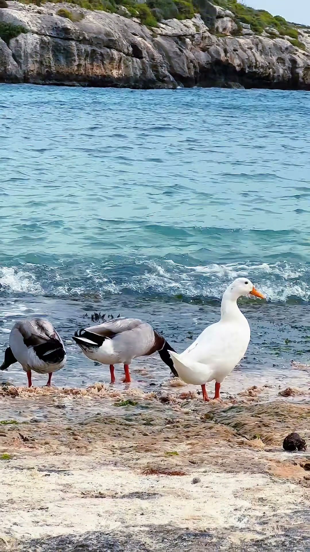 Mġarr ix-Xini — Ukryty Fjord Gozo
